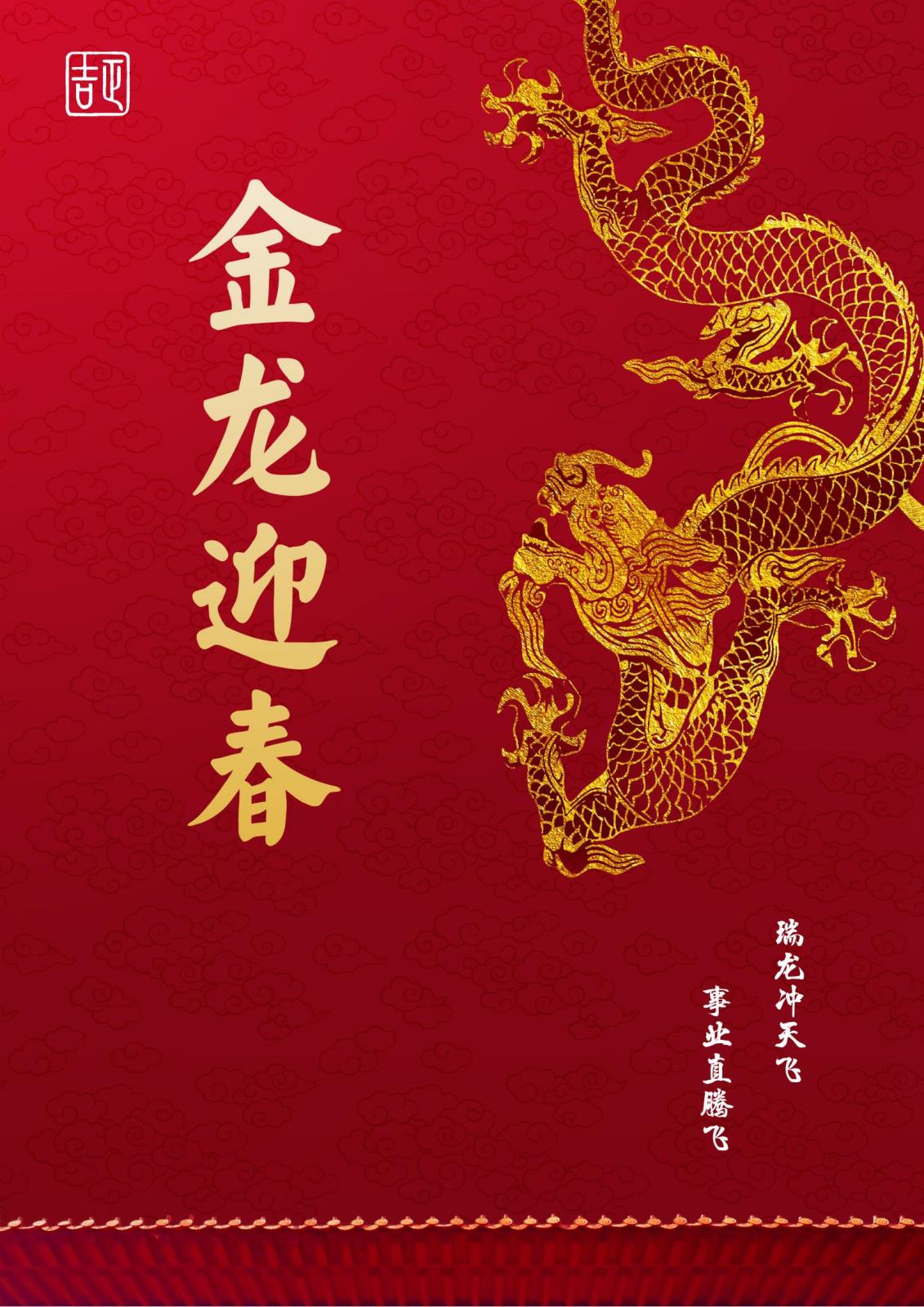 金龙迎春_00.jpg